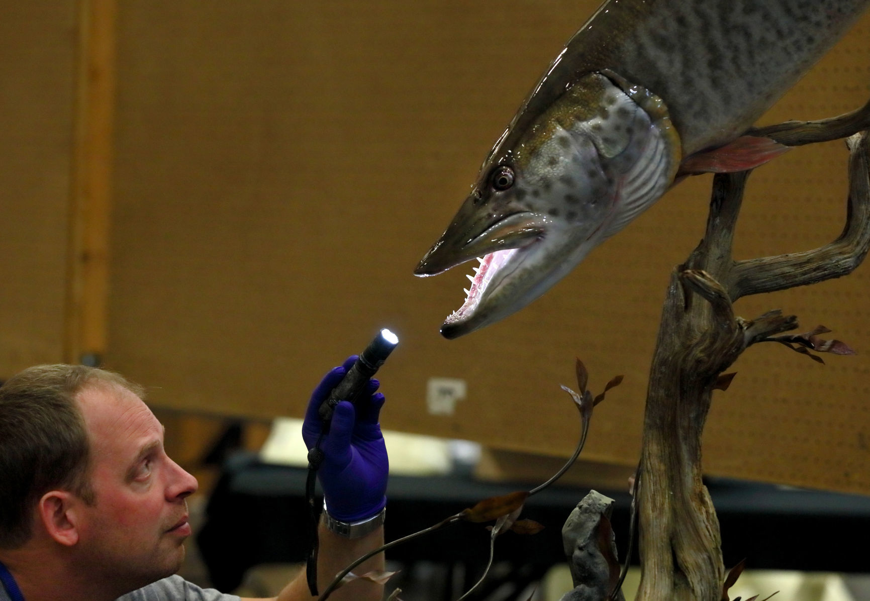 2019 World Taxidermy & Fish Carving Championships in Springfield, Mo.